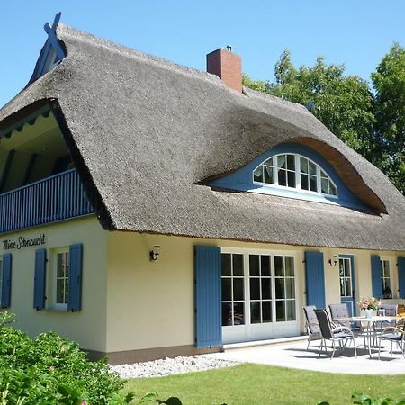Ferienhaus Mine Sehnsucht Dierhagen Eksteriør billede